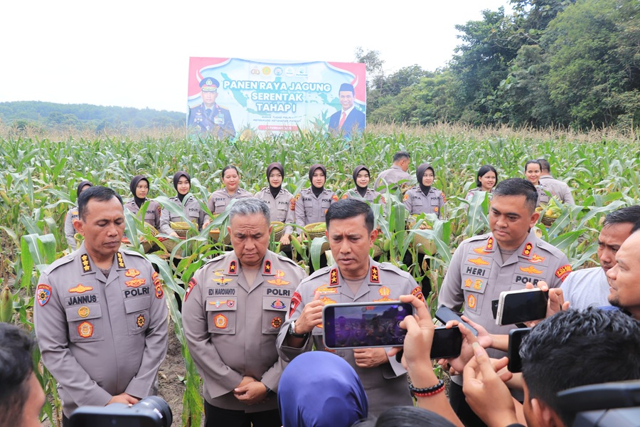 Panen Jagung Perdana di Muaro Jambi, Kapolda Jambi Sebut Bakal Panen 200 Hektar