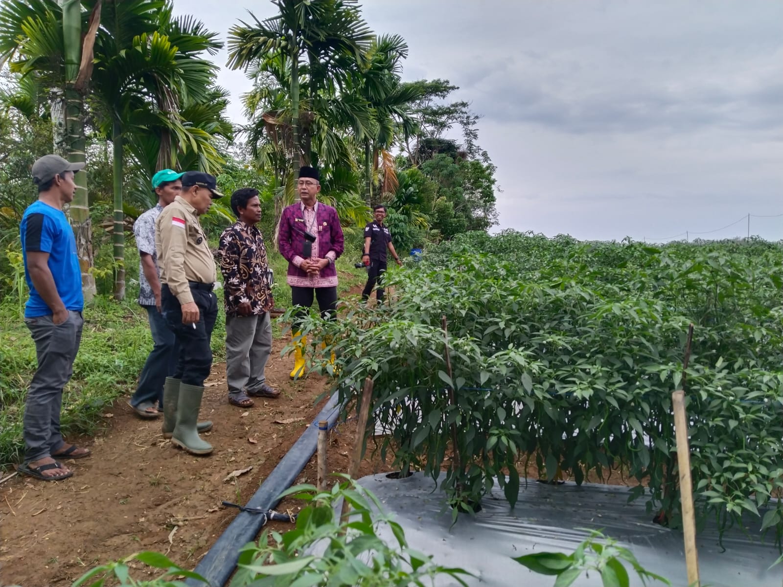 Bupati Tebo Aspan akan Monitoring BUMDes di Kabupaten Tebo