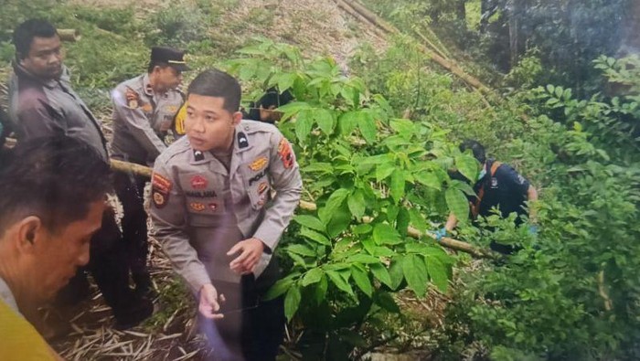 Perempuan di Bukittinggi yang Buang Bayi ke Jurang Kini Jadi Tersangka, Akui Lupa Wajah Sang Ayah