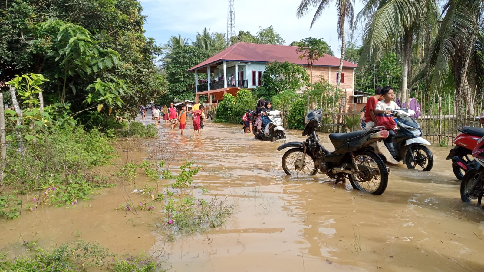 Curah Hujan Tinggi, Jalan Kecamatan Jujuhan, Kabupaten Bungo Terendam Banjir 