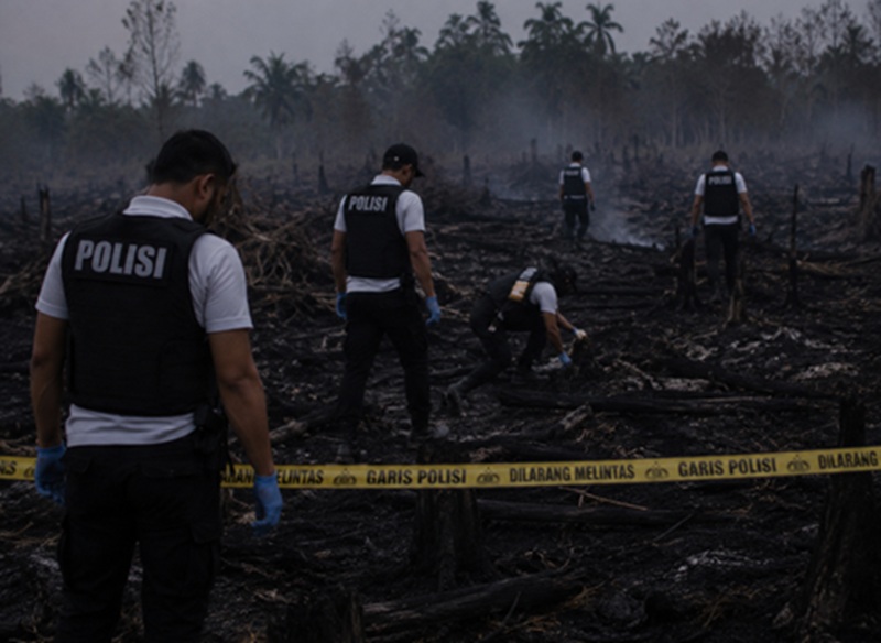 Lahan 3 Hektare Terbakar di Jaluko, Polisi Buru Pemilik Lahan dan Dalami Penyebab Karhutla