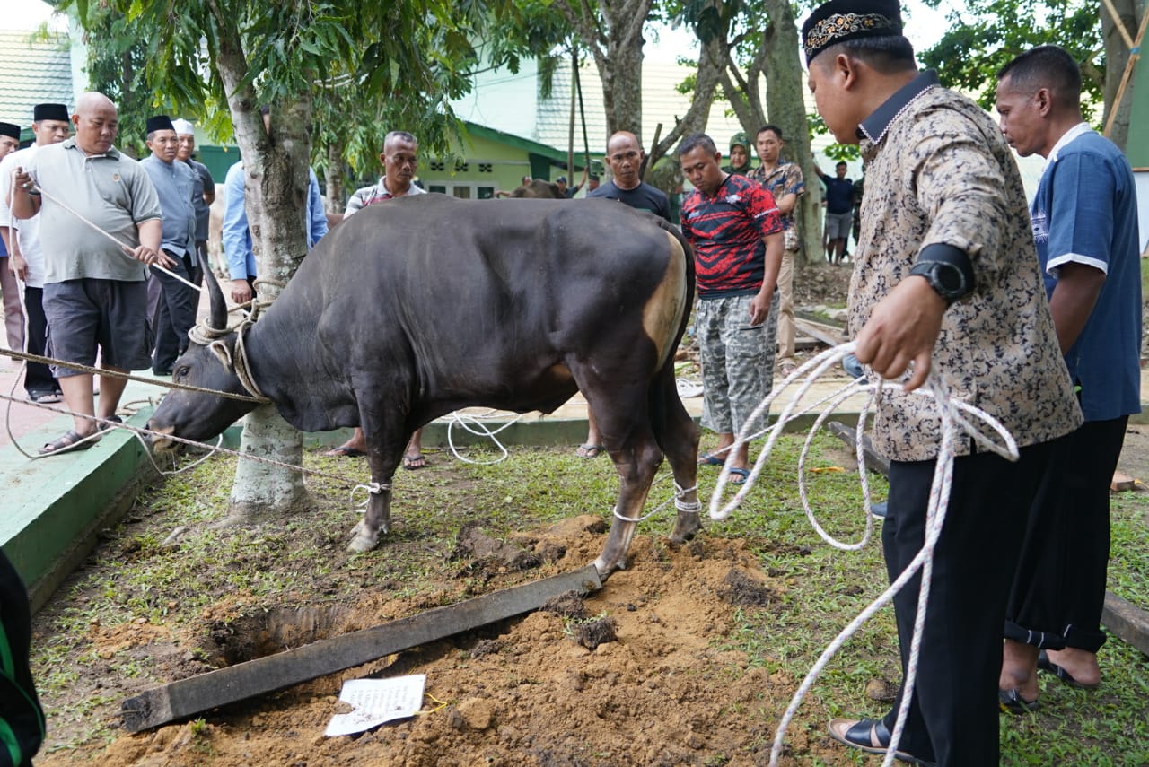 Korem 042/Gapu Gelar Salat Idul Adha 1443 H dan Potong Hewan Kurban