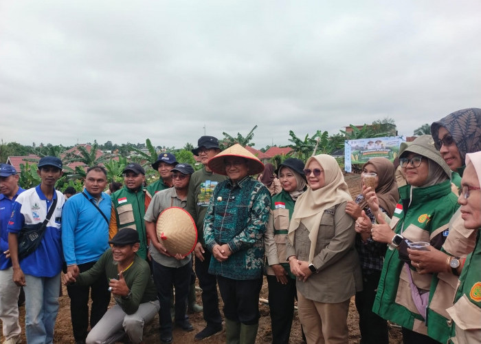 Kelompok Tani Kasturi Jadi Contoh Pemanfaatan Lahan Nonproduktif di Kota Jambi 