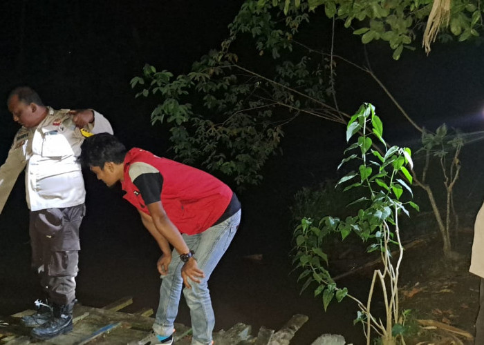 Sedang Berenang, Warga Rantau Indah Dendang Tanjab Timur Diserang Buaya Liar