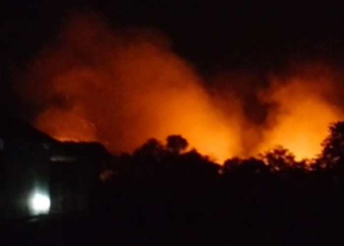 BREAKING NEWS: Karhutla di Jambi, Berawal di Tanjung Johor, Kini Api Berkobar di Hutan Desa Niaso Muaro Jambi