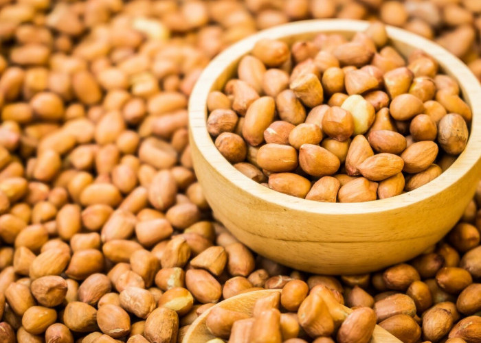 Jangan Salah, Kacang Tanah Punya Manfaat Loh untuk Ibu Hamil, Simak Penjelasannya