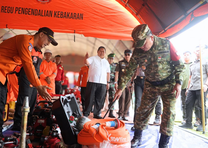 Waduh! Hingga 7 Juni, 122 Hektare Lahan di Jambi Terbakar