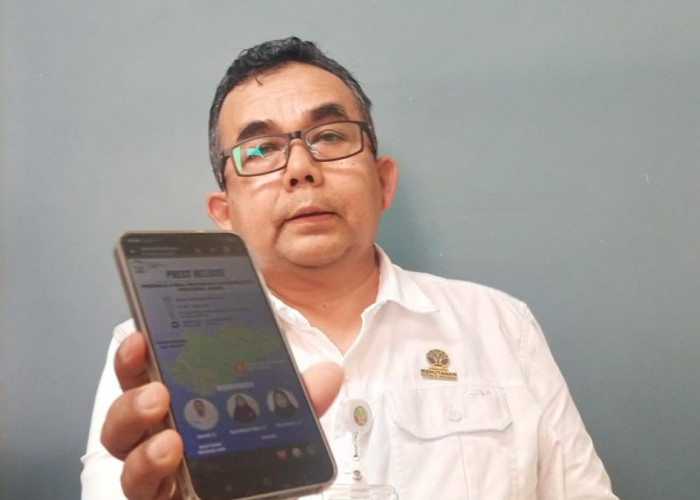 Gawat! Api Karhutla di Berbak dan Sembilang Makin Dekat ke Habitat Harimau, Jaraknya Tinggal 2-3 Kilometer
