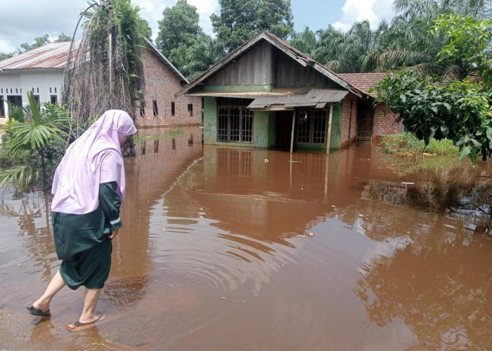 Kerap Dilanda Banjir, Kades Suka Maju Tanjab Timur Harap Ada Pembersihan Aliran Sungai