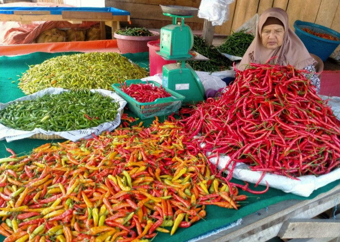 Harga Cabai dan Sayuran di Kabupaten Bungo Belum Stabil