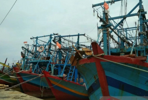 BBM Mahal, Ratusan Kapal Nelayan Parkir Tak Melaut