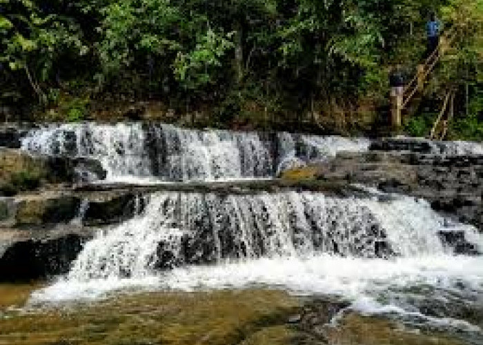 Pesona Geopark Merangin: Jejak Sejarah Bumi yang Tersembunyi di Jambi