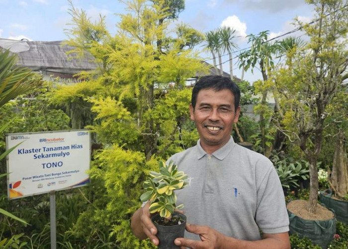 Sukses Jadi Mata Pencaharian Warga Sekitar, Ini Kisah Klaster Usaha Tanaman Hias Binaan BRI 