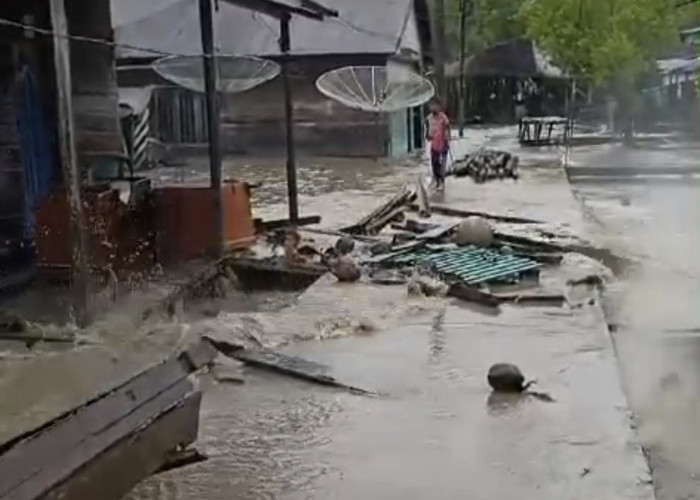 Banjir Rob Disertai Gelombang Laut Hantam Pemukiman Warga Pesisir Tanjab Timur, Warga Diminta Waspada