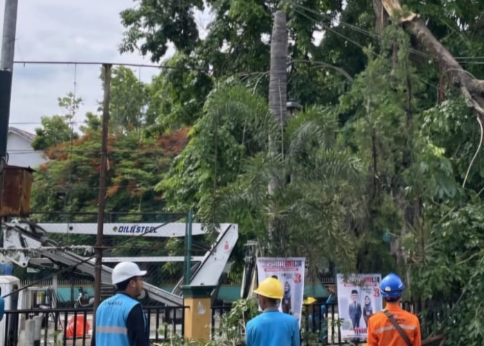 Gerak Cepat PLN Pulihkan Listrik Pasca Angin Puting Beliung di Muara Enim Sumatera Selatan