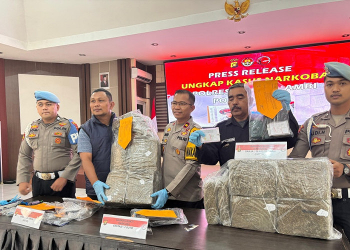 Polres Muaro Jambi Gagalkan Peredaran 30,8 Kg Ganja, Dibawa Kurir Asal Rantau Rasau Tanjab Timur