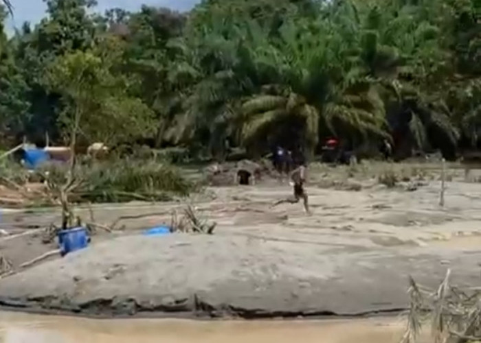 Bandel! Polisi Tangkal 8 Pelaku Tambang Emas Ilegal di Kabupaten Tebo, Kocar Kacir Saat Digerebek