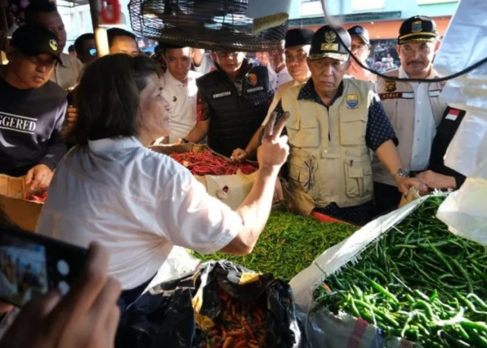 Wakil Gubernur Jambi Sidak Harga Bahan Pokok di Pasar Angso Duo Baru