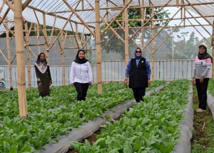 Perempuan Nasabah PNM Mekaar di Bandung Barat Kembangkan Usaha lewat Sinergi Ultra Mikro BRI