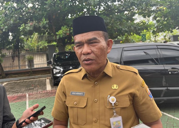 Temuan BPK di Jambi Belum Tuntas! Pemprov Kebut Penyelesaian, Baru 79 Persen yang Ditindaklanjuti
