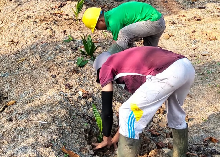 Kolam Limbah PT Fortius Wajo Perkebunan di Batang Asam Terbukti Bocor, Perusahaan Dikenakan Sanksi Ini