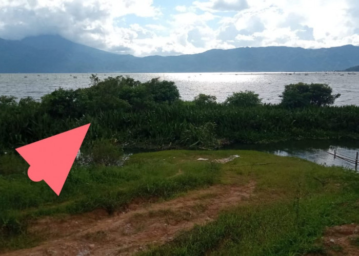 BREAKING NEWS: Lagi! Muncul Pulau Baru di Danau Kerinci