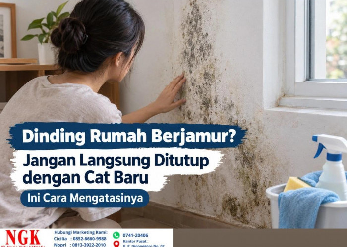 Dinding Rumah Berjamur? Jangan Langsung Ditutup dengan Cat Baru, Ini Cara Mengatasinya