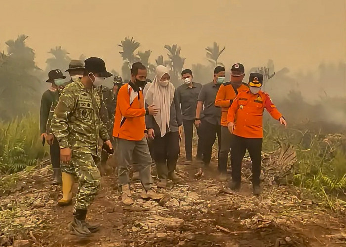 Karhutla di Kumpeh Belum Padam, Ini Kendala yang Dihadapi
