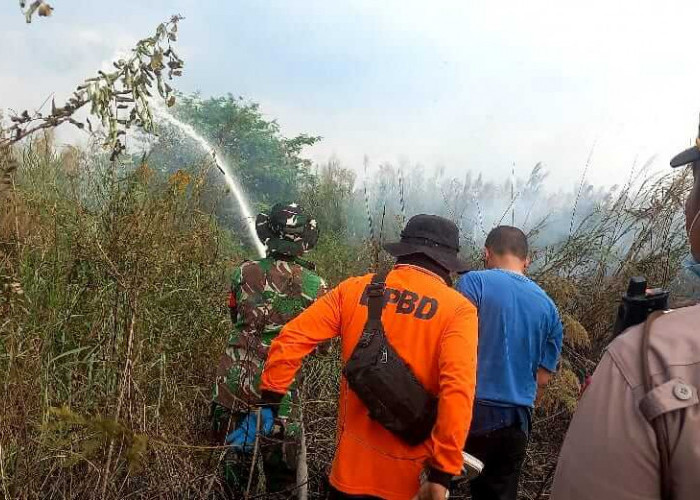Sekitar 7 Hektar Lahan Sawah di Desa Pudak Kumpeh Ulu Hangus Terbakar