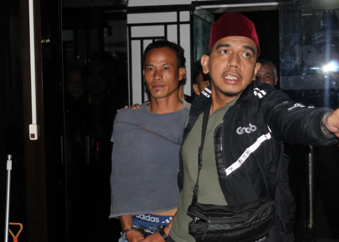 Akhir Pelarian Al-Fajri! DPO Kasus Pencurian di Tanah Tumbuh Ditangkap Tim Tabur Kejari Bungo