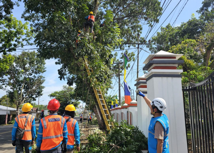 PLN UID S2JB Siaga Pilkada 2024: Pastikan Pasokan Listrik Andal untuk Pesta Demokrasi