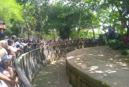 Libur Lebaran, Taman Rimba Jambi Diserbu Ribuan Pengunjung