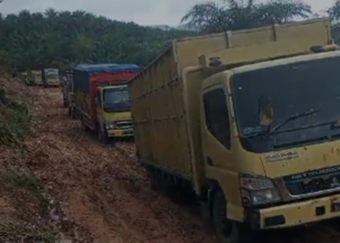 Polda Jambi Acak-acak Wilayah Sumur Minyak Ilegal di Senami Kabupaten Batanghari, Brimob Diturunkan