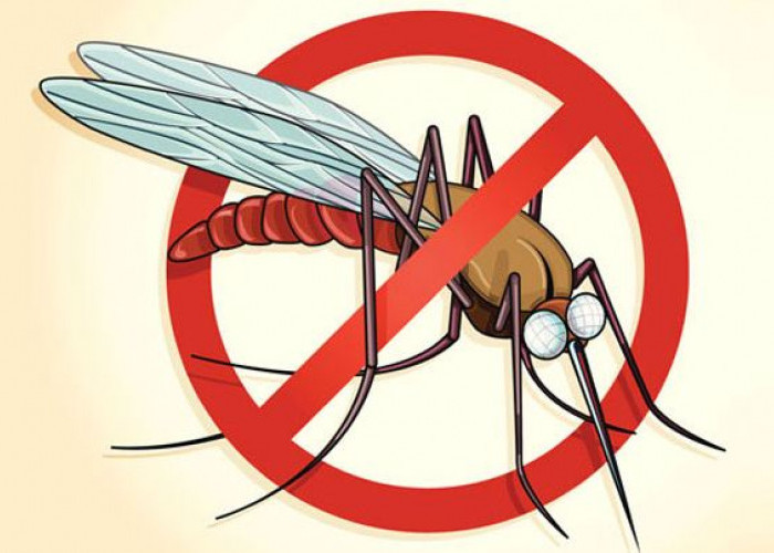 Cegah Malaria dengan 10 Tips Berikut Ini