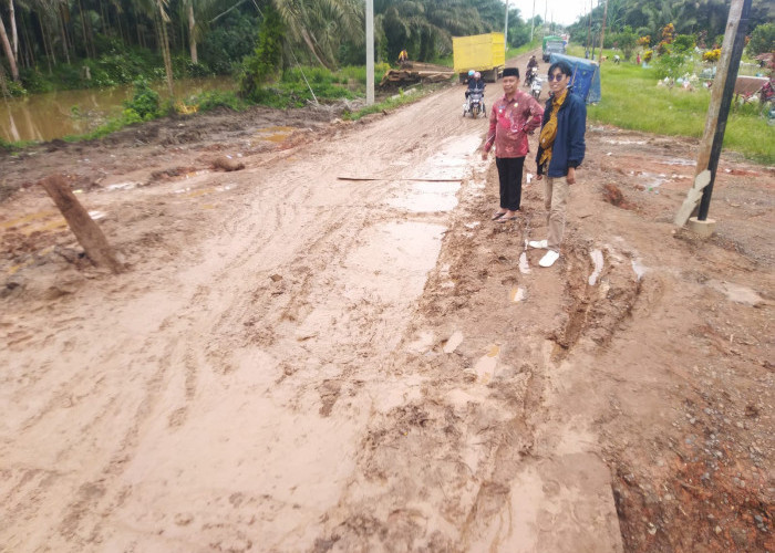 Ini 3 Titik Kerusakan Parah Jalan Utama di Kecamatan Muarasabak Timur, 2 di Antaranya Kewenangan Pemprov