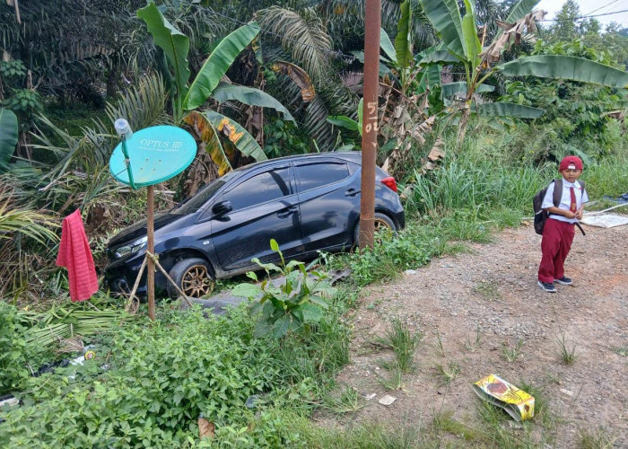 Kecelakaan Tunggal di Bungo, Honda Brio Masuk Jurang Sedalam 3 meter