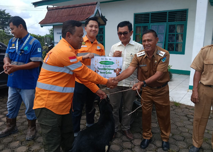  PT SAS dan Group Salurkan 40 Hewan Kurban untuk Masyarakat Jambi