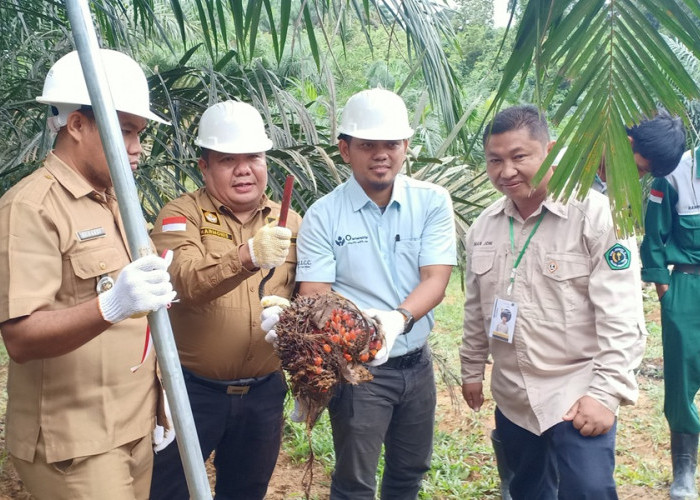 Dukung Pendidikan, Asian Agri Serahkan Panen Perdana Program Sekolah Sawit Lestari di Jambi