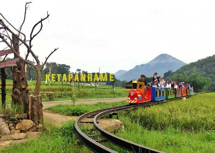 Jangkau 5.245 Desa BRILiaN, BRI Perluas Dukungan bagi Pengembangan Ekonomi Desa