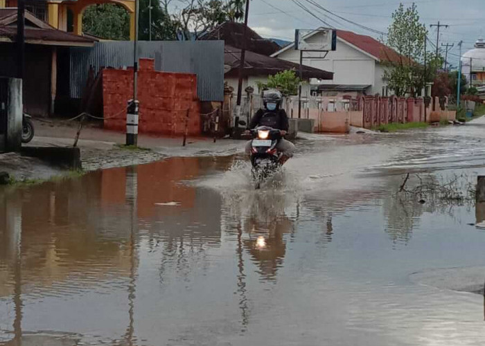Diguyur Hujan Lebat, Badan Jalan di Lubuk Suli Kerinci Digenangi Banjir