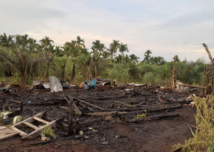 Dilahap Si Jago Merah, Rumah Warga Sungai Tawar Tanjab Timur Rata dengan Tanah