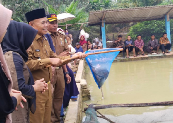 Pemkab Tebo Panen Raya Budidaya Ikan Nila di Desa Pulung Rejo