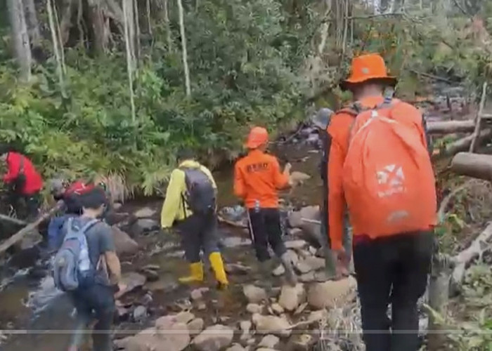 Terkendala Kabut, Ini Kabar Terbaru Pencarian Warga Kumun yang Hilang di Renah Kayu Embun Sungai Penuh