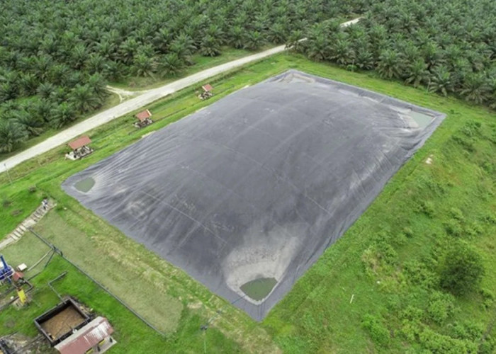 Dua PLTBg Ini Jadi Andalan PalmCo Tekan Biaya Energi di Tengah Gejolak Global