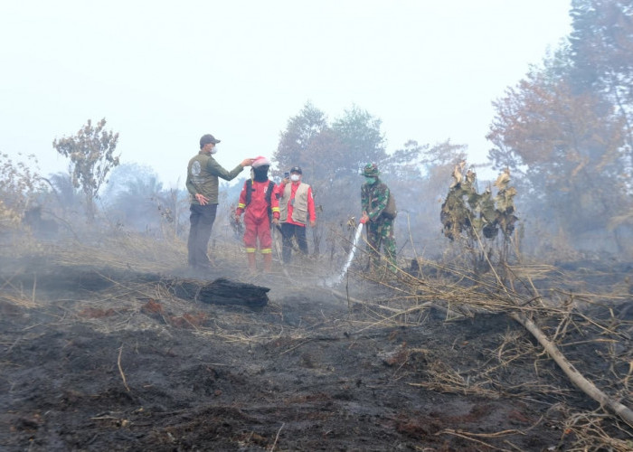 Tiga Perusahaan Diselidiki, Karhutla di Provinsi Jambi Mencapai 916 Hektare 