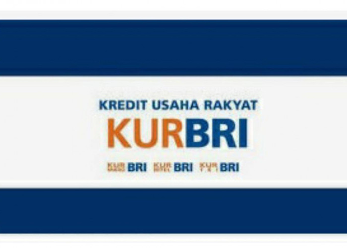 Lagi Ajukan KUR di Bank BRI? Berikut Panduan Agar Pinjaman Bisa Cair