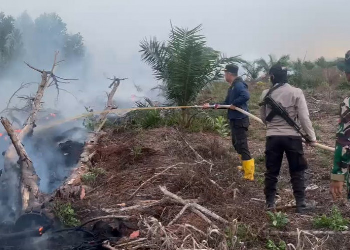 Gerak Cepat Polres Tanjab Timur Tangani Karhutla di Rawasari, Api Dipadamkan Setelah 5 Jam