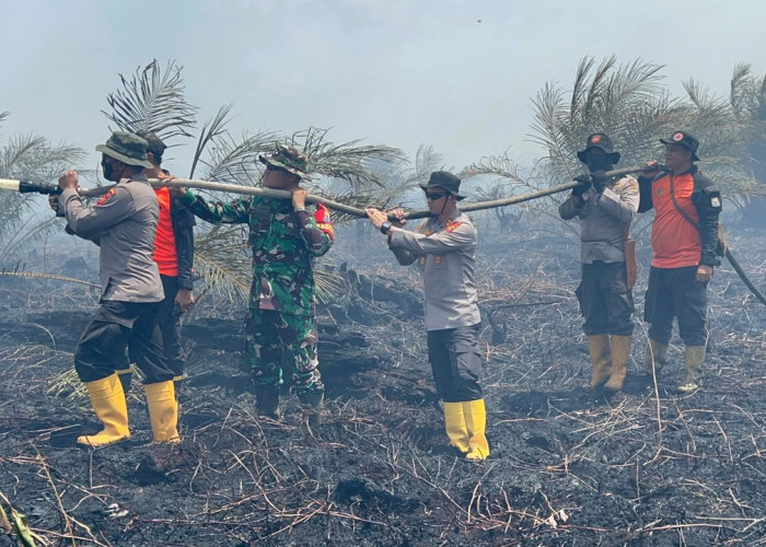 Antisipasi Karhutla Tak Menyebar, 50 Hektar Lahan di Sungai Gelam Terbakar 