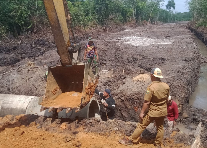 Pegawai PUPR Muaro Jambi Gotong Royong Bangun Gorong-gorong Pembukaan Jalan Satgas TMMD ke-121 Kodim 0415/Jamb