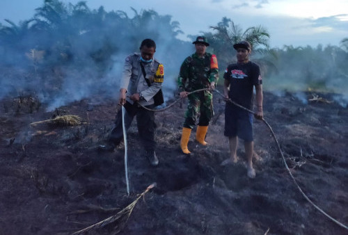 4 Hektare Lahan Terbakar Tahun Ini, Berikut Penjelasan BPBD Tanjab Timur